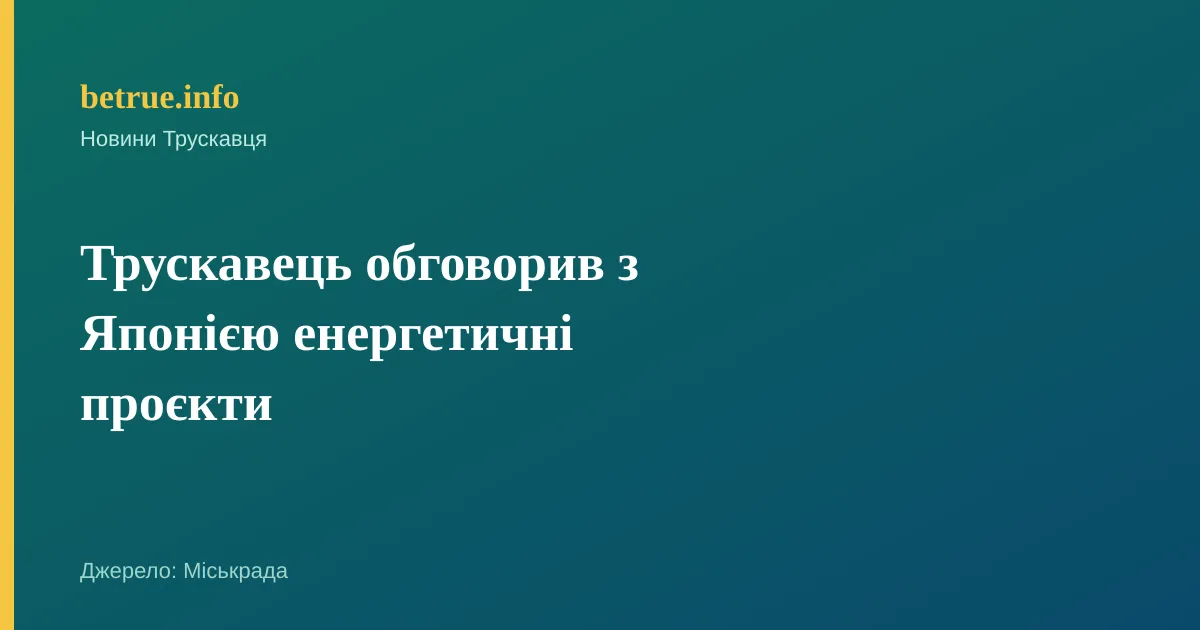 Трускавець обговорив з Японією енергетичні проєкти