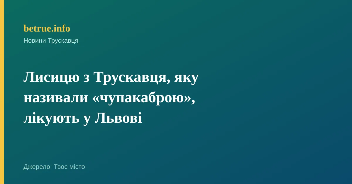 Лисицю з Трускавця, яку називали «чупакаброю», лікують у Львові